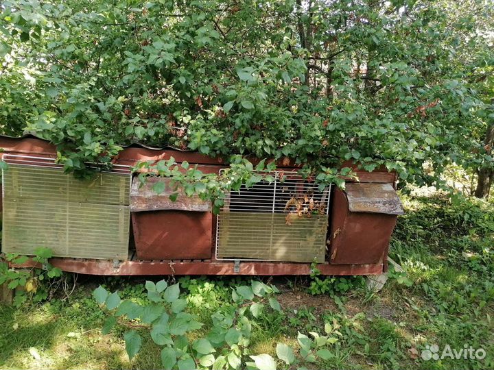 Клетка для кроликов /крольчатник/домик б/у, 3тыс