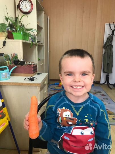 Логопед-дефектолог, подготовка к школе, впр