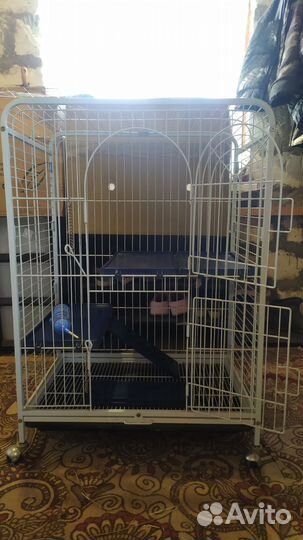 Клетка для грызунов большая