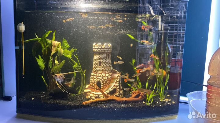 Аквариум 35 литров