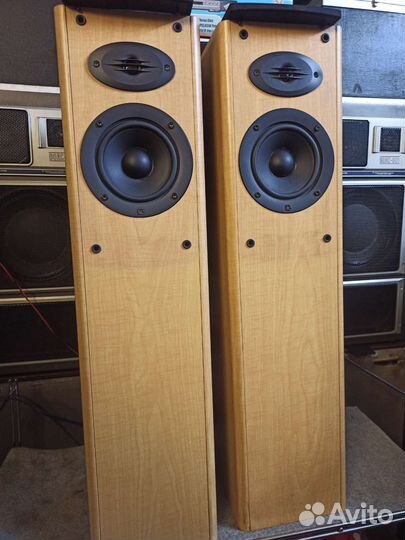 Наполная акустика celestion f2