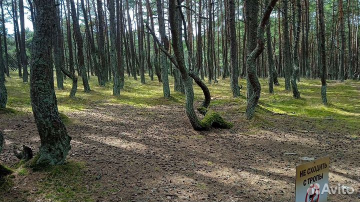 Праздники, мероприятия