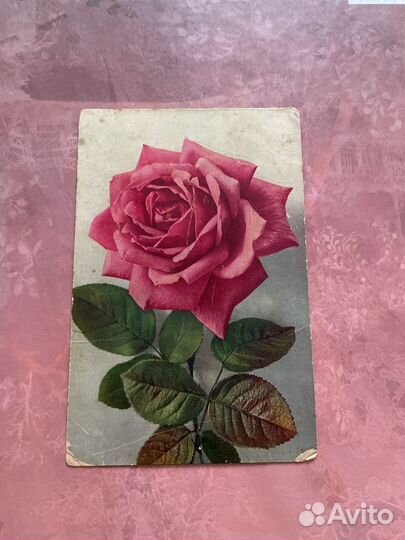 Дореволюционные открытки Пасха, Рождество