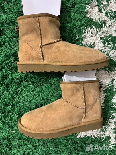 7 размеров UGG Classic Mini II Boot wmns Chestnut