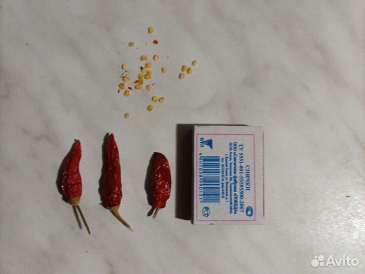 Семена и рассада супер острого кустарник. перца