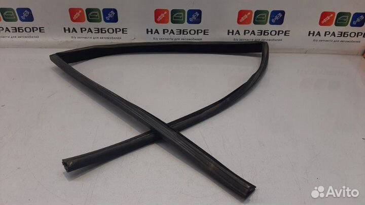 Уплотнительная резинка стекла двери задняя левая