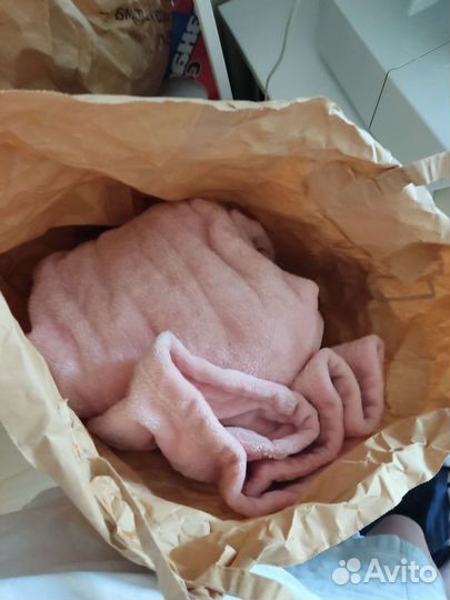 Детские вещи пакетом для девочек 122 128