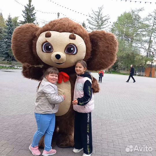 Поздравление от Чебурашки, Ростовая кукла