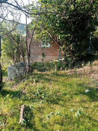 Участок 10 сот. (СНТ, ДНП)