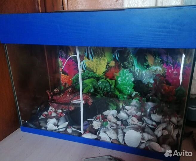 Аквариум