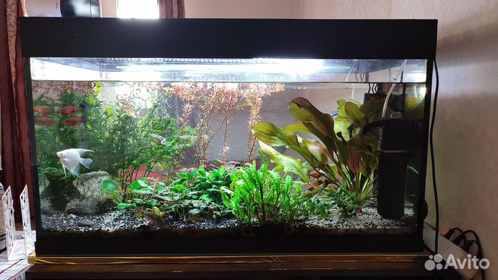 Аквариум