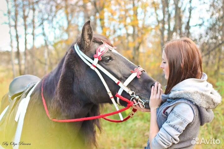 Конные прогулки