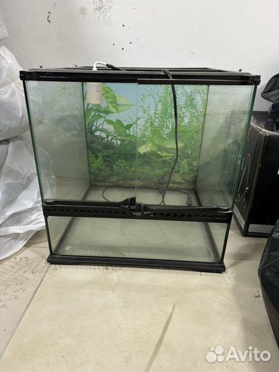 Террариум для хамелеона