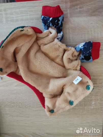 Одежда для собак мелких пород