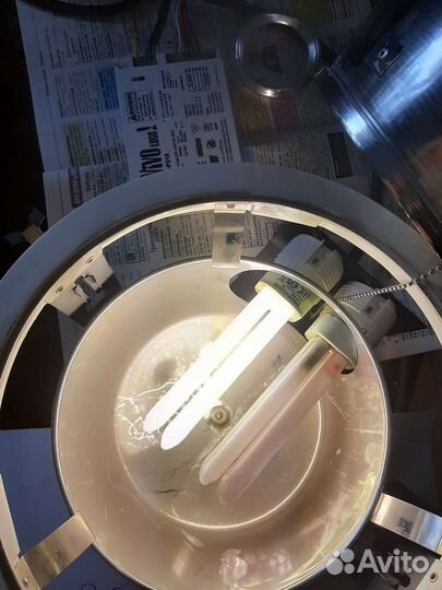 Лампа для подвесных систем либо потолков натяжных