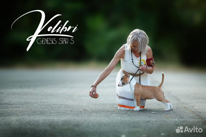 Супер бомба