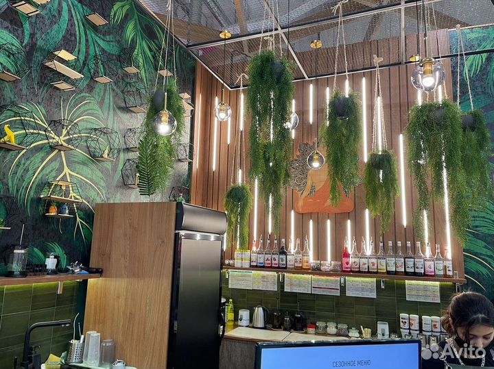 Франшиза Coffee Island Bali доход от 200 тысяч