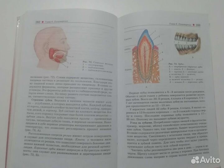 Учебник биологии 8 класс Дрофа