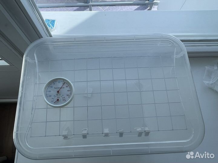 Ферма (инсектарий) для выведения бабочек