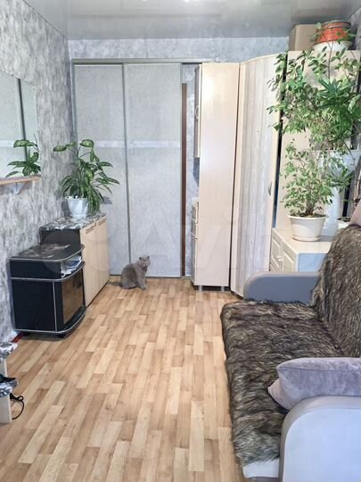 3-к. квартира, 56,4 м², 3/3 эт.