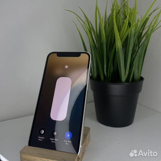 iPhone 12 mini, 256 ГБ