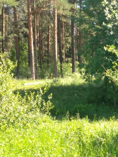 Участок 16,8 сот. (ИЖС)