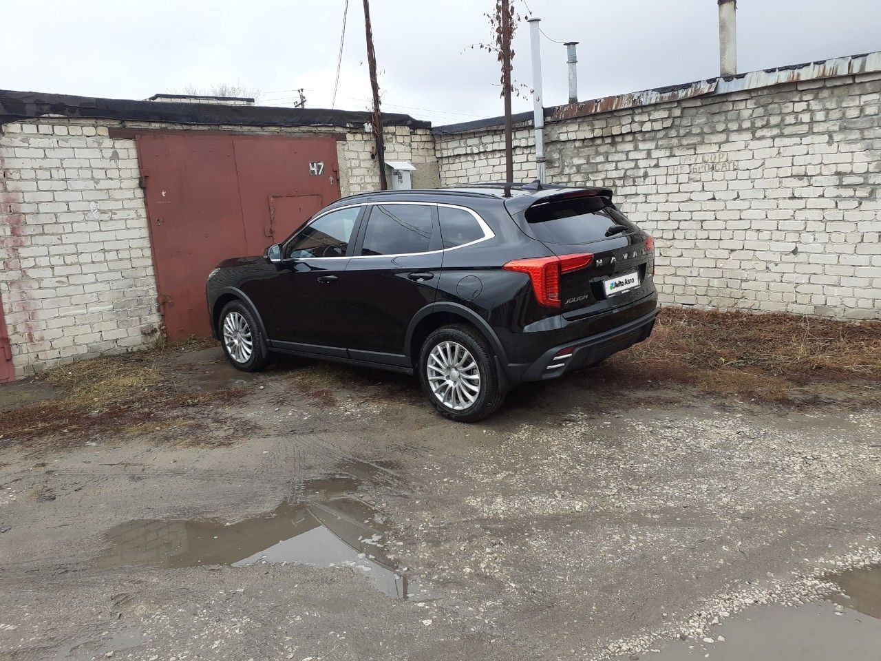 HAVAL Jolion: фото владельца