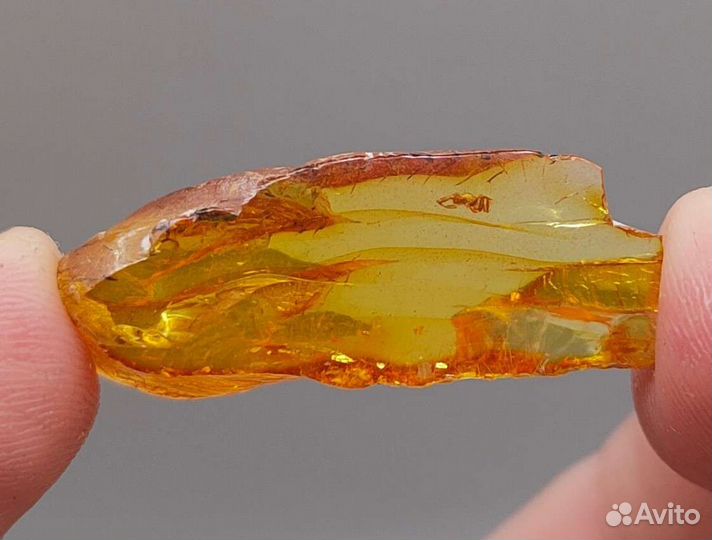 Маленький паучок / Инклюз в янтаре