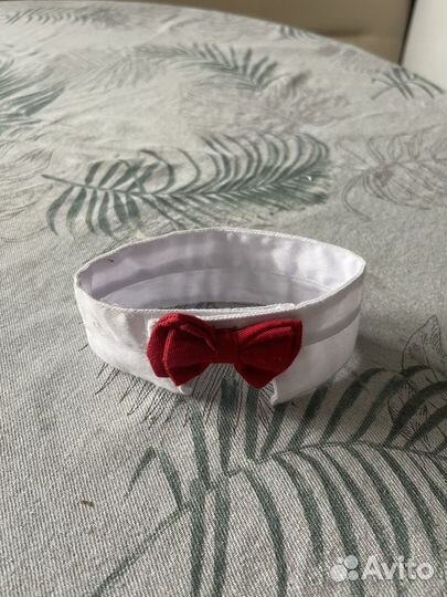 Бантик для собаки