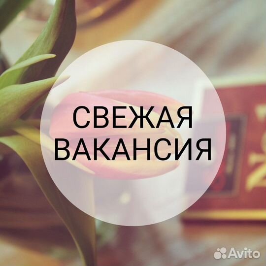 Продавец без опыта работы 113 мкр. 3А