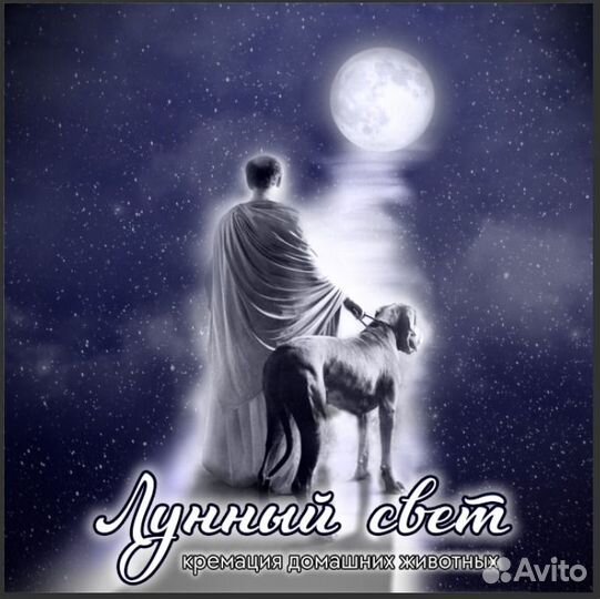 Кремация домашних животных