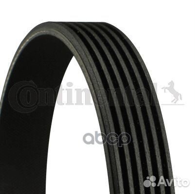 CT-6PK1623 ремень поликлиновой Citroen Xantia