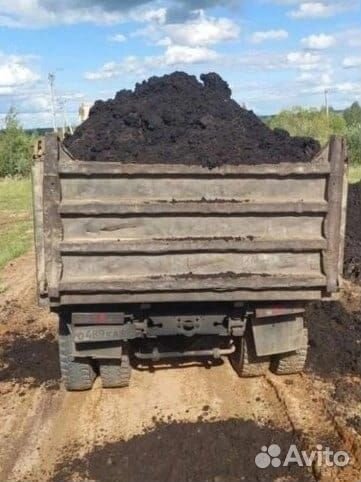 Чернозем,земля плодородн. без медведки и борщевика