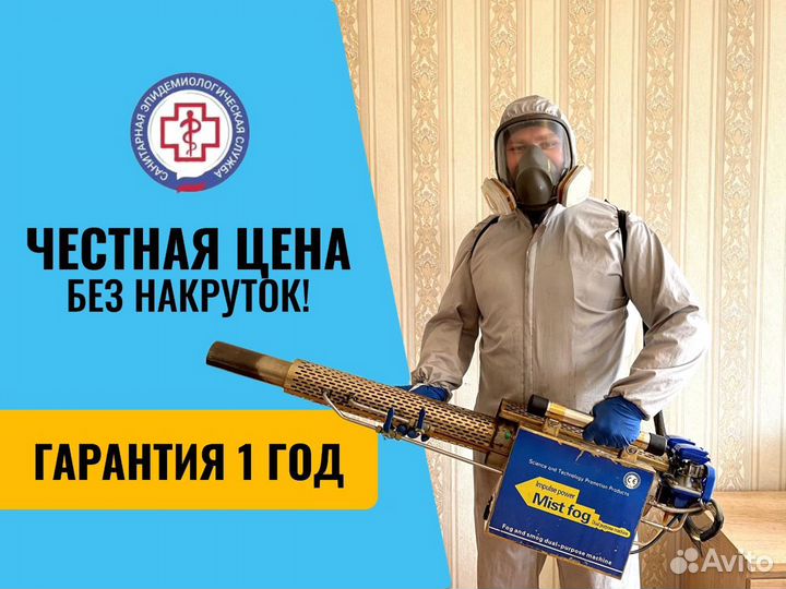 Дезинфекция. сэс. Уничтожение клопов. Грызуны