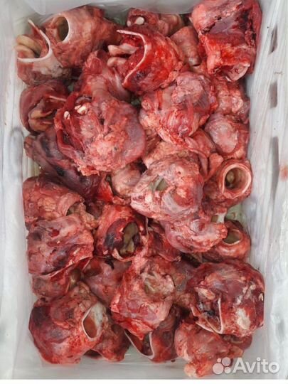 Кости для собак, мясо для собак