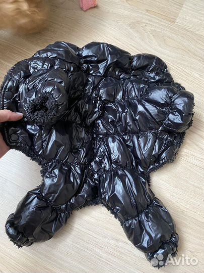 Одежда для собак мелких пород