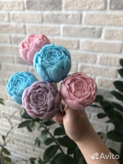 Пион мыльный