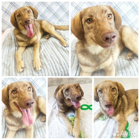 Ладочка 12 мес, маленькое солнышко