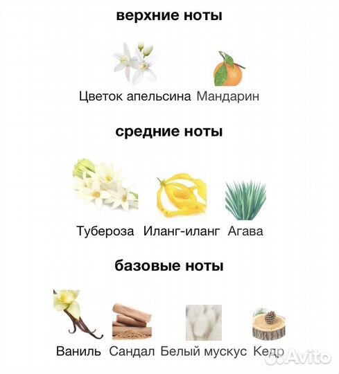 Memo marfa (распив)