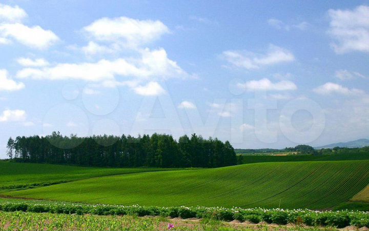 Участок 27 га (СНТ, ДНП)