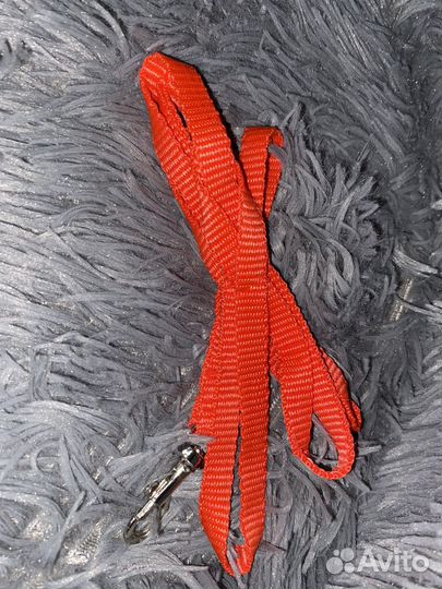 Амуниция для собак