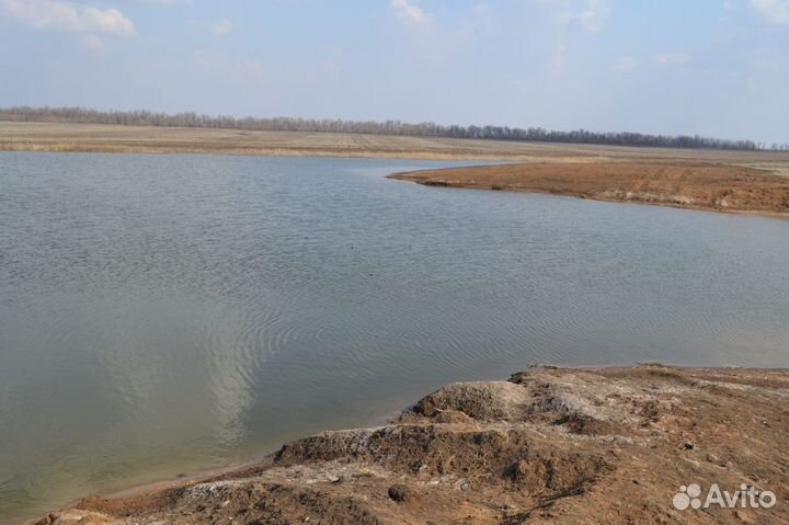 Пруд-карпятник