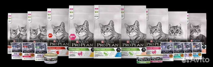 Корм для животных