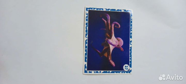 Наклейки живая планета