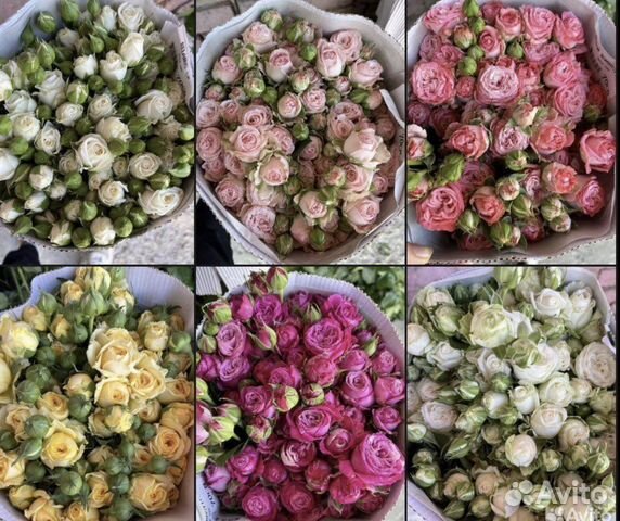 Букеты из Кустовых Роз. Цветы с доставкой