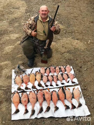 Снаряжение для охоты