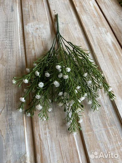 Подснежники,Мимоза,Нарциссы,Сакура