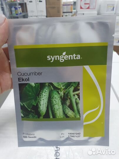 Семена огурец Эколь 500с Сингента