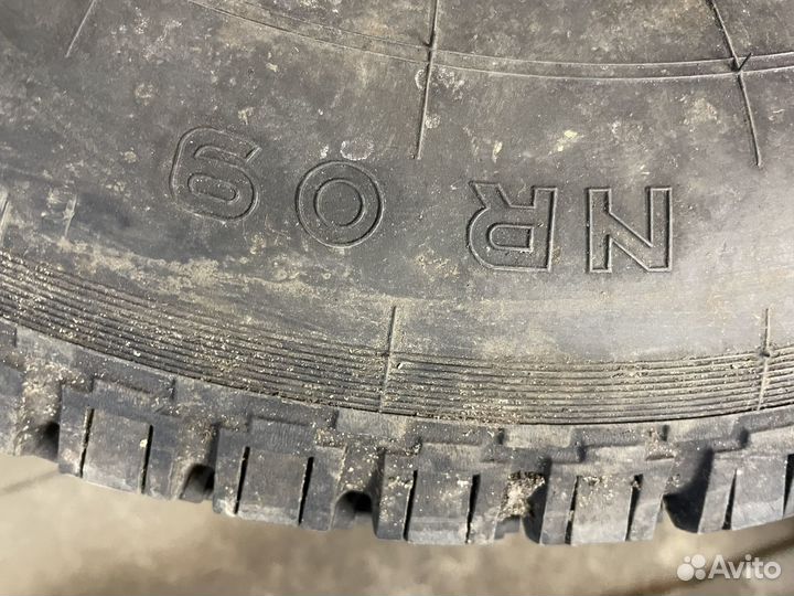 Nokian hakkapeliitta