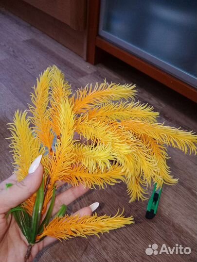 Все для аквариума